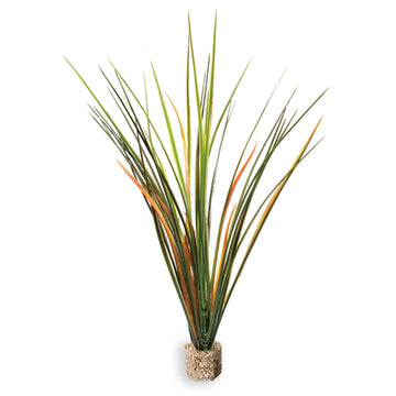 Fountain Grass Medium Green with Weighted Base.
